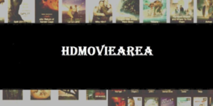 HD Movie area